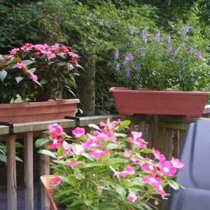 Meet your Posher, Jade